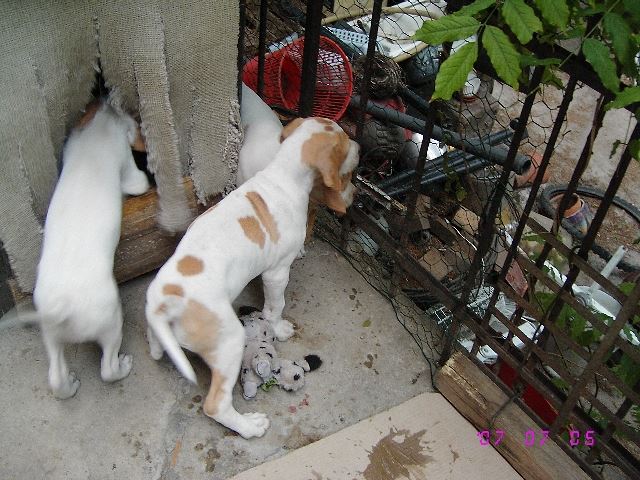 Mi lehet bent? Mi lehet kint?