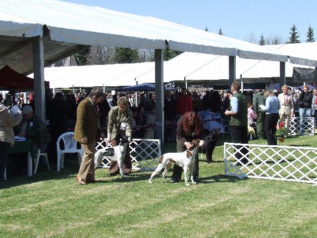 2007.04.09.Szilvásvárad - CAC, Res CACIB