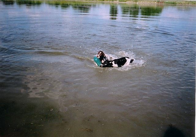 2005.július A Rétszilasi tavaknál 