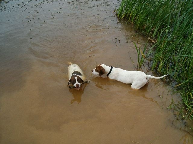 2005.nyara Ammily és Viki a tóban 