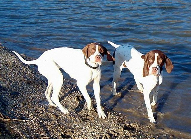 Ammily és Viki a Duna parton 