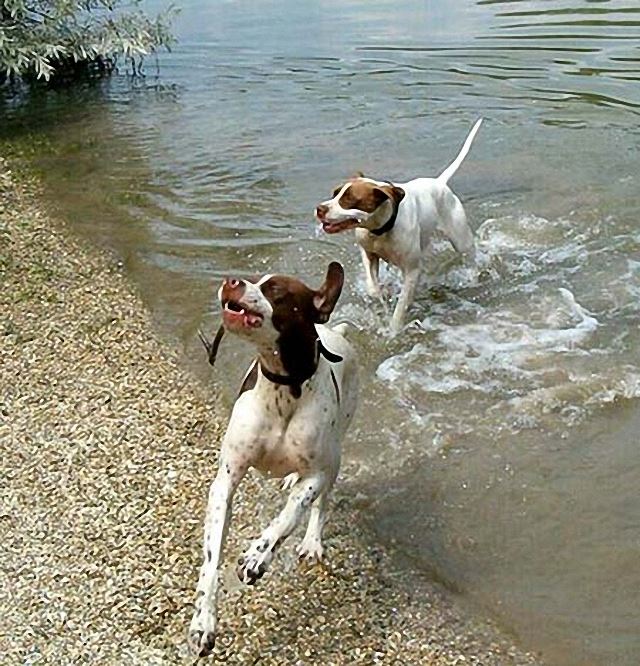 Ammily és Viki a Duna parton 