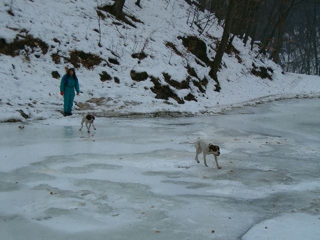2006.tele Téli kirándulás a Bakonyban  