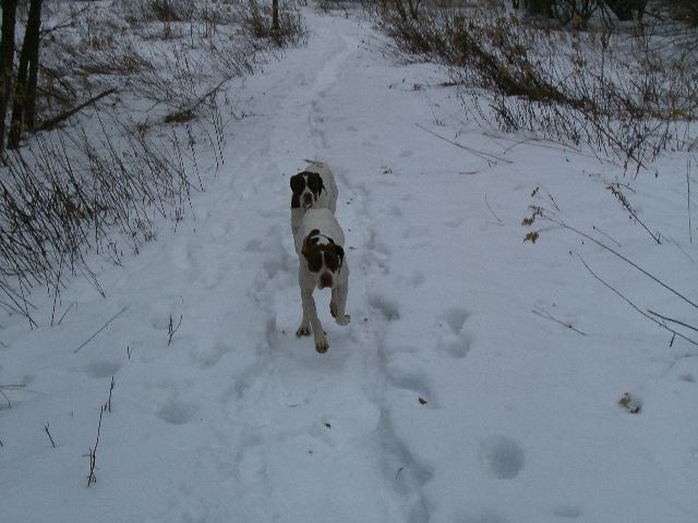 2006.tele Téli kirándulás a Bakonyban  