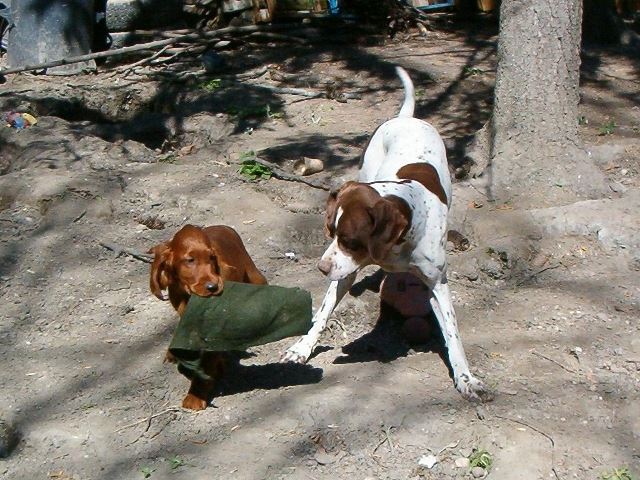 2006.április 6. Ammily és "pártfogoltja",Kelly 