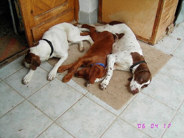 2006.május Séta után