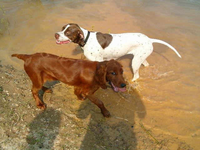 2006.május Ammily és Kelly a tónál 