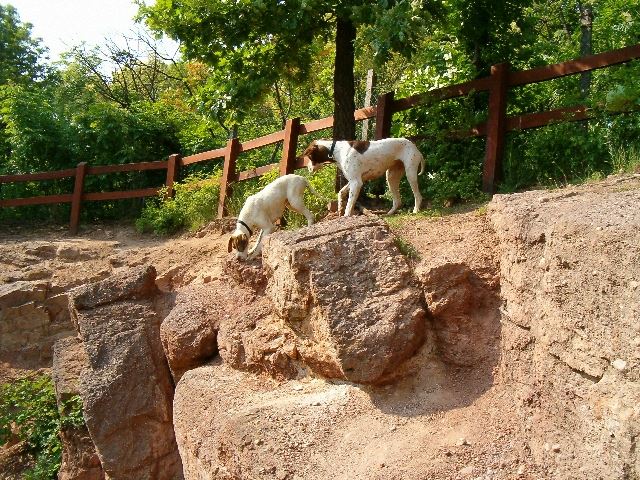 Ammily és Viki a sziklán 