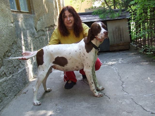 2007.05.05.Másfél héttel a szülés előtt