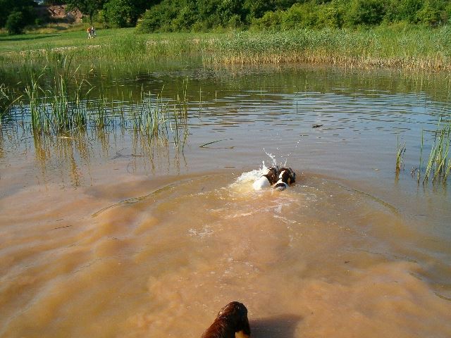 2006.nyara Verseny a labdáért