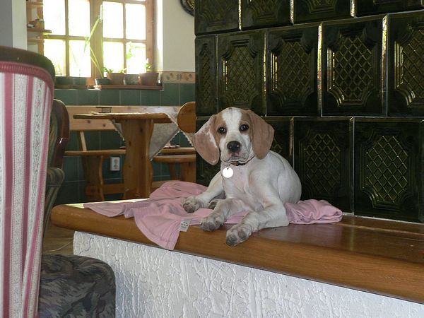 Irisz-Felice 3 hónapos