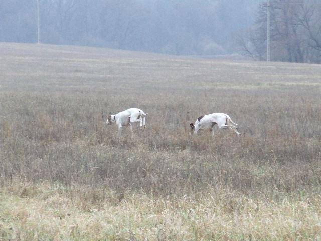 2006.december Kirándulás