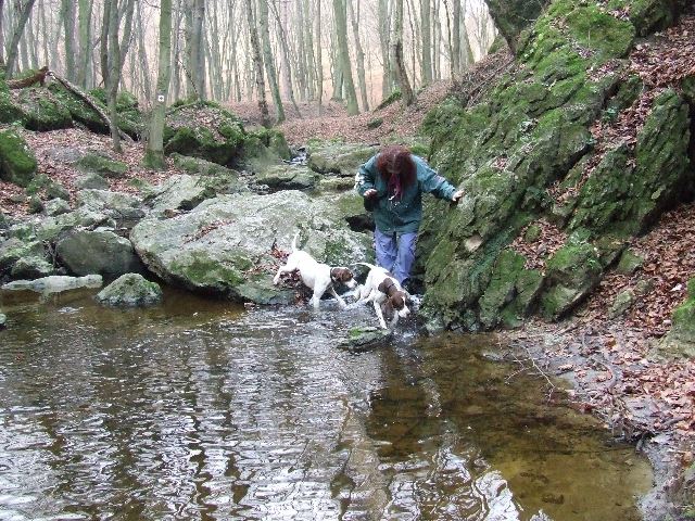 2006.december Kirándulás