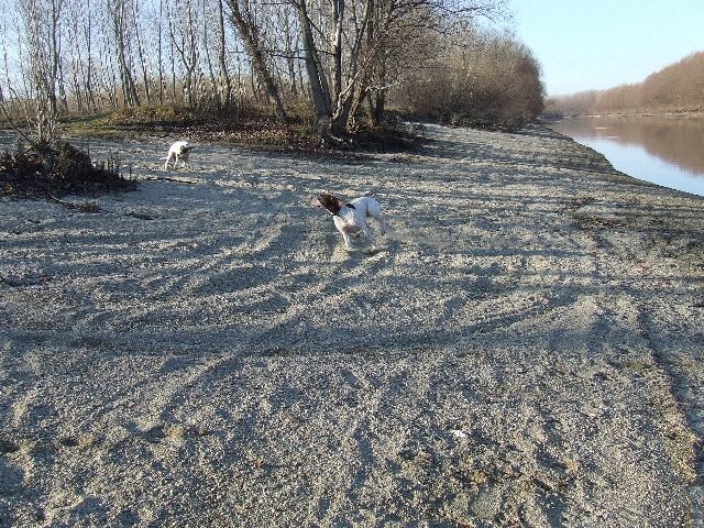 2006.december Püspökerdőben 