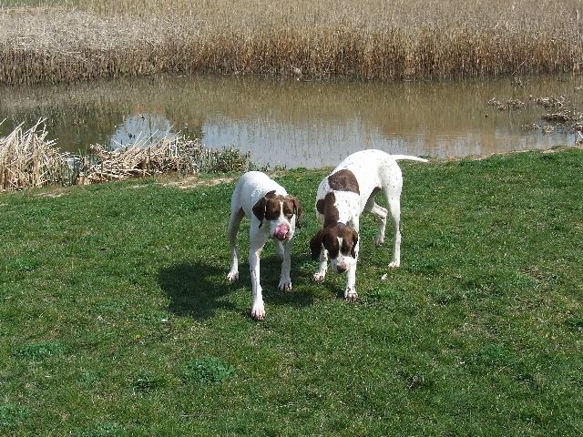 2007.04.01. Balatonon