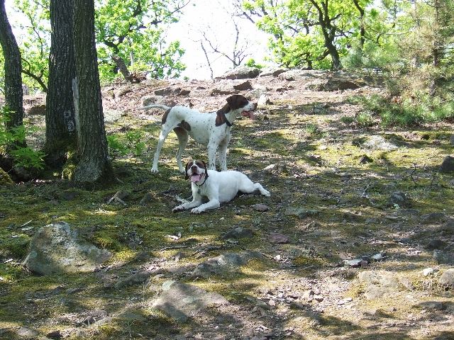 2007.04.15. Megint a Balatonon