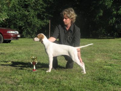 Irisz-Felice Kaposvar CAC-2007.09.01.Bíró Czeglédi A. Nagyon ígéretes,Baby res BIS