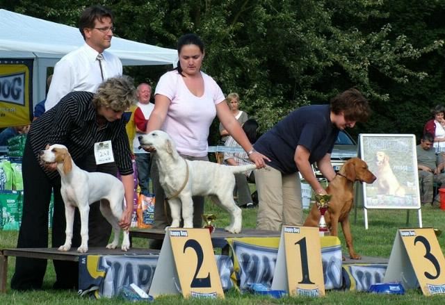 Irisz-Felice Kaposvar CAC-2007.09.01.Bíró Czeglédi A. Nagyon ígéretes,Baby res BIS