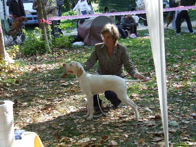 Iron: Nagyon Ígéretes (Baby O.) 2007.10.14.Szentendre CAC - Bíró:Szabó Sándor
