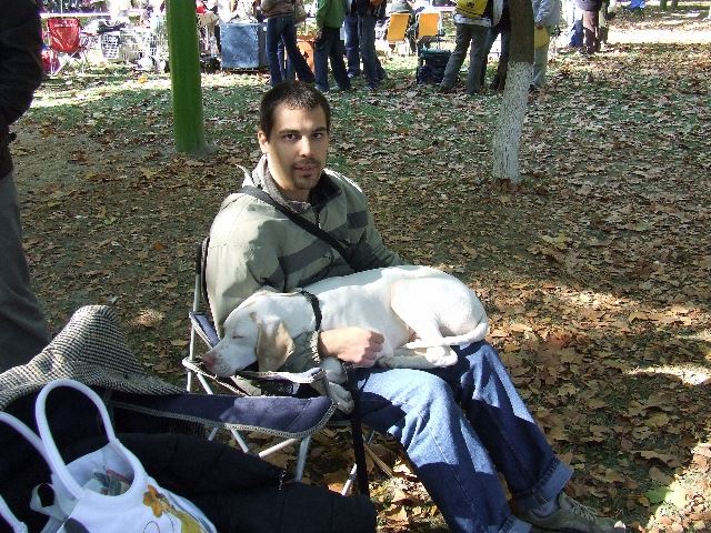 Várakozás a BISre 
Iron: Nagyon Ígéretes (Baby O.) 2007.10.14.Szentendre CAC - Bíró:Szabó Sándor

