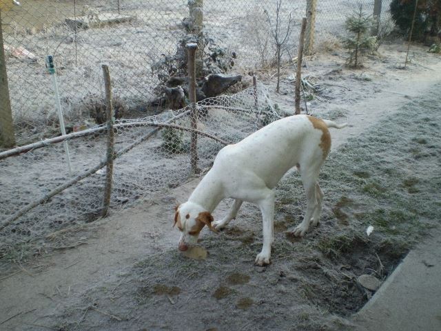Ivánéknál látogatóban-Iván és a műcsont-2008.február