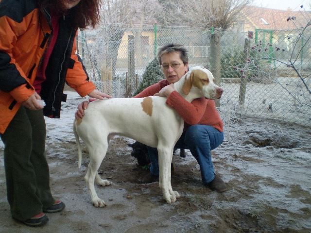 Ivánéknál látogatóban-"Állj meg szépen!"-2008.február