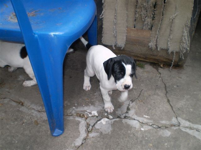 Jenny