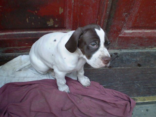 Jack
