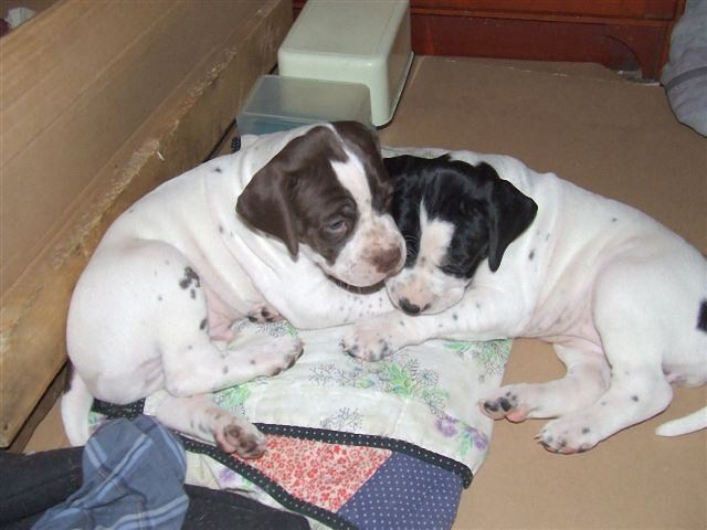 Jenny,Jackie összebújva