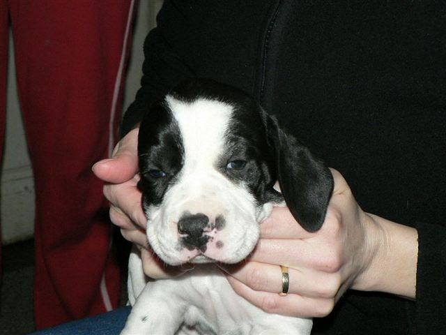 Jenny négy és fél hetes