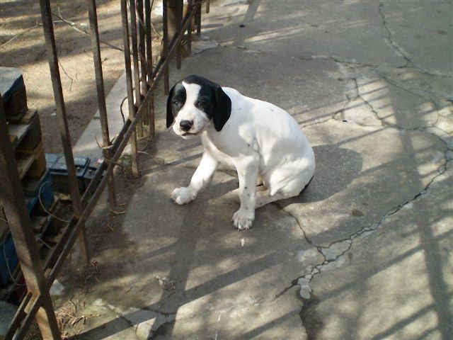 Jenny