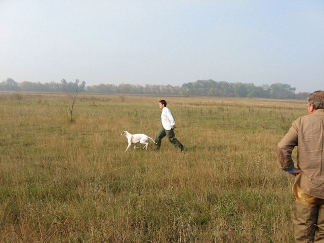 2008.10.13. Field Trial Cece Iphigeneia/Rozi