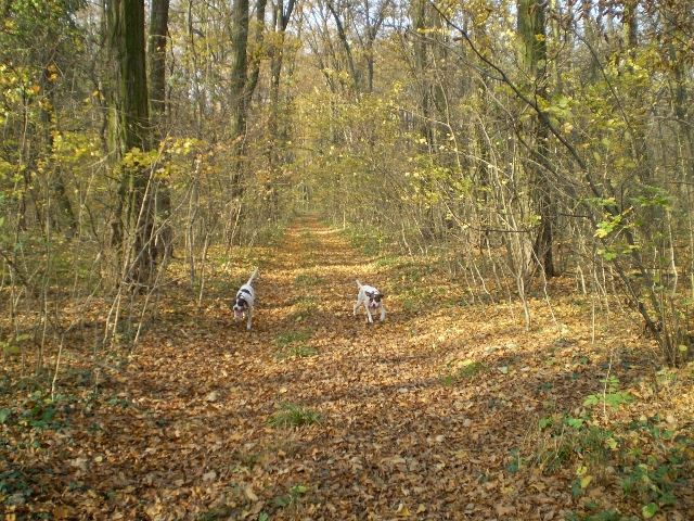 2008.őszi séta Lébényben (Ammily,Viki)