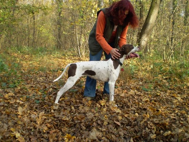 2008.őszi séta Lébényben (Ammily)