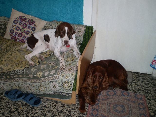 Balatoni nyaralás - Ammily,Kelly - 2008.augusztus
