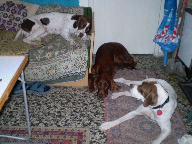 Balatoni nyaralás - Ammily,Kelly,Viki - 2008.augusztus