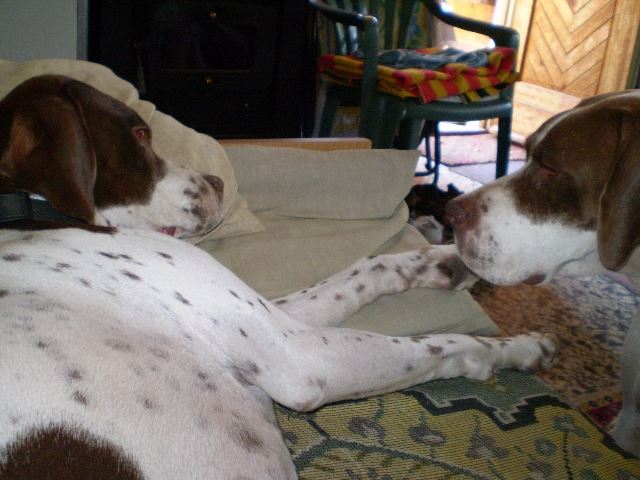 Balatoni nyaralás - "Én nem fekhetek ide?" (Ammily,Viki) - 2008.augusztus