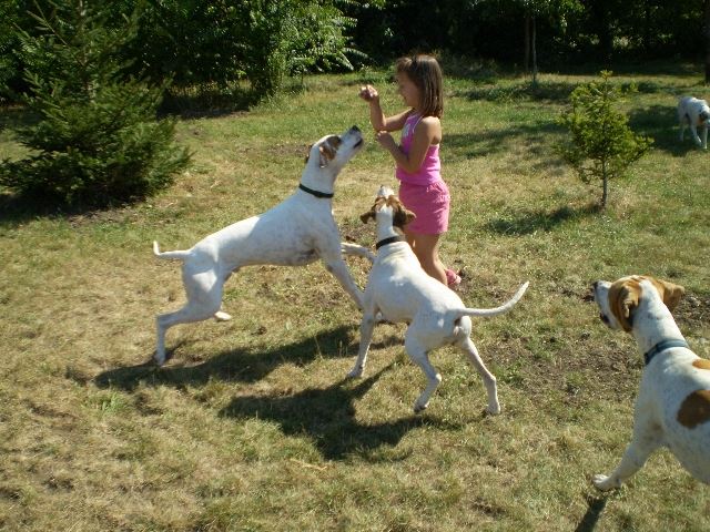 Látogatás Szlovákiában,Izidor/Frodóéknál-Játék (Casanova,Viki,Frodó) 2008.08.31.