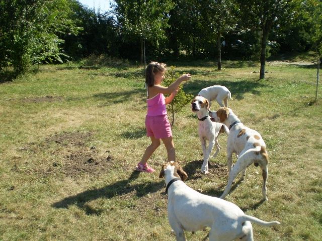 Látogatás Szlovákiában,Izidor/Frodóéknál-Játék (Casanova,Viki,Frodó) 2008.08.31.