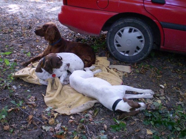 Sátorozás a Bakonyban - A nap végén,a táborhelyen - (Ammily,Kelly,Viki) 2008.09.06-07.