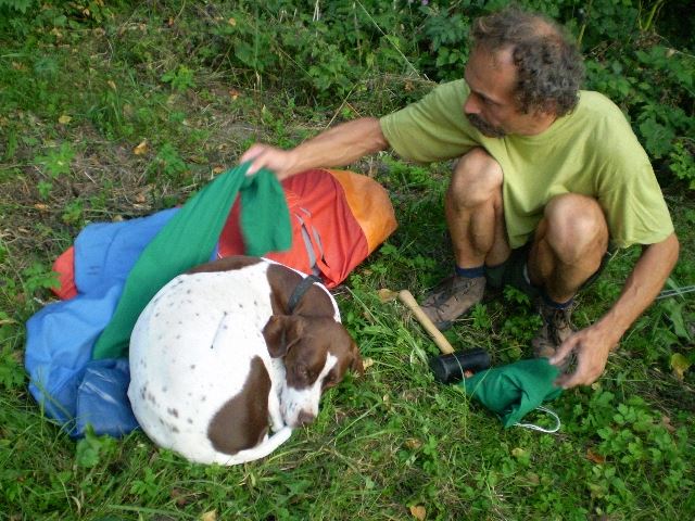 Sátorozás a Bakonyban - A nap végén,a táborhelyen - "Hát itt sem fekhetek nyugodtan?" (Ammily)  2008.09.06-07.
