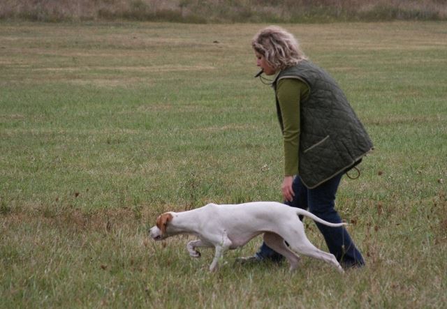Field Trial - Cece - 2008.09.13-14. Irisz/Felice - "Jó" (8 pont)-Ezzel megszerezte a Munkavizsgát