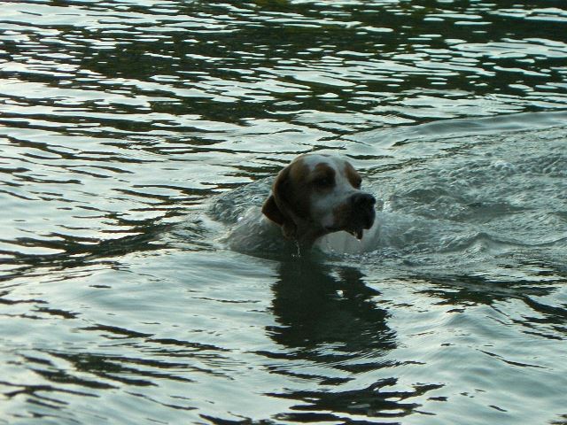 Monty-2008.június