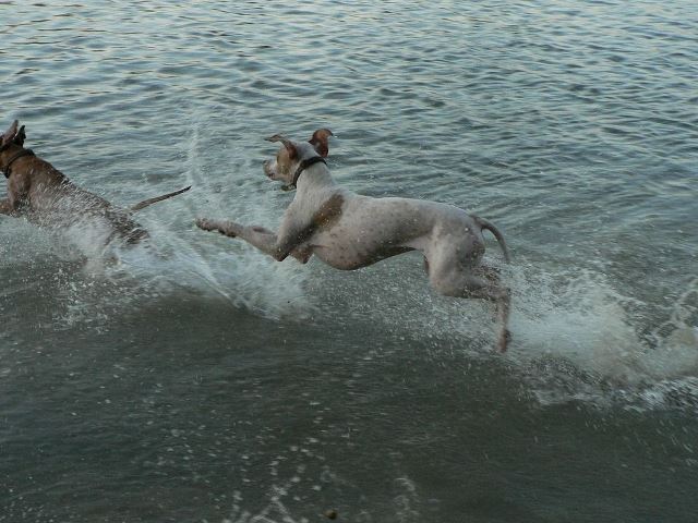 Iphigeneia/Rozi,és Franciska-2008.június