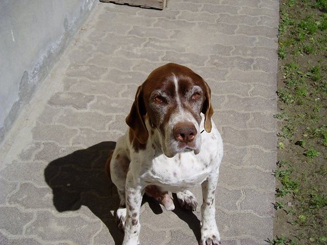 Frédi otthonában