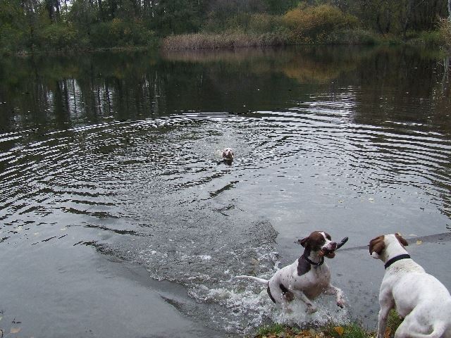 Mozzanatok a lébényi kirándulásról (Iron,Ammily,Viki)