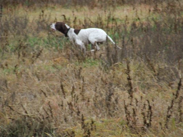 Mozzanatok a lébényi kirándulásról (Ammily)