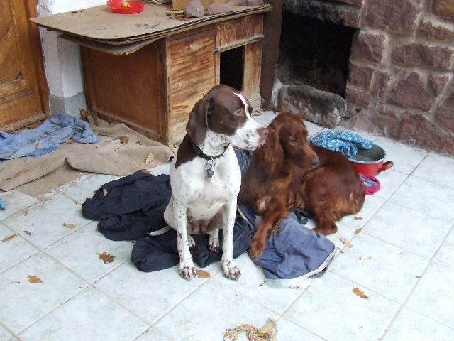 Balaton 2007.november 1. (Ammily,Kelly)