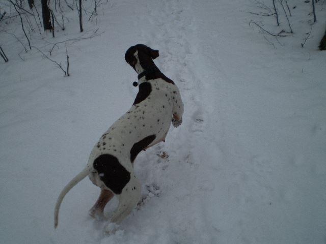 Szilveszterkor a Mátrában (Ammily)