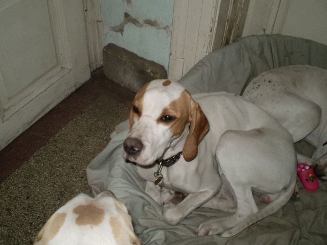 "Szia, Felice.."  (Iphike és Irisz/Felice) 